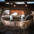 robot_bath